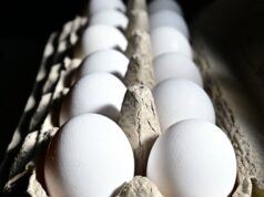 Por que os especialistas dizem que a tendência do TikTok do ovo congelado viral é perigosa Aqui está o que significa a frase ‘os saxofones estão ficando mais barulhentos’ no TikTok