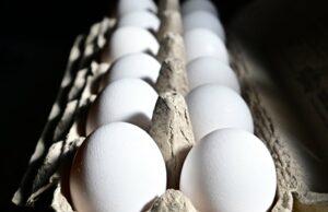 Por que os especialistas dizem que a tendência do TikTok do ovo congelado viral é perigosa Aqui está o que significa a frase ‘os saxofones estão ficando mais barulhentos’ no TikTok