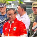 Pramono Sebut Ikan Sapu-sapu Kuasai Perairan Jacarta, Populasinya Capai 60 Persen!