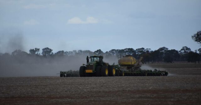 Preços do trigo australiano sobem à medida que os futuros dos EUA devido à seca sobem para o máximo de dois anos
