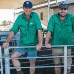 Produtor de WA assina contrato de fornecimento de lã enrolada de 10 anos com marca global de vestuário