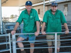 Produtor de WA assina contrato de fornecimento de lã enrolada de 10 anos com marca global de vestuário Produtor de WA assina contrato de fornecimento de lã enrolada de 10 anos com marca global de vestuário