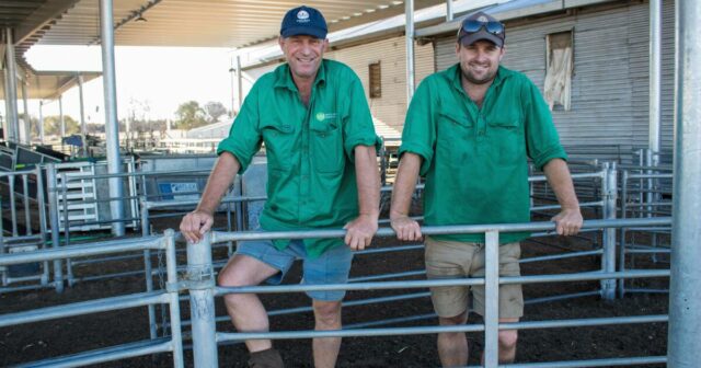 Produtor de WA assina contrato de fornecimento de lã enrolada de 10 anos com marca global de vestuário
