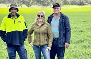 Produtores de Wheatbelt ajudam a produzir a primeira aveia segura para celíacos da Austrália Produtores de Wheatbelt ajudam a produzir a primeira aveia segura para celíacos da Austrália
