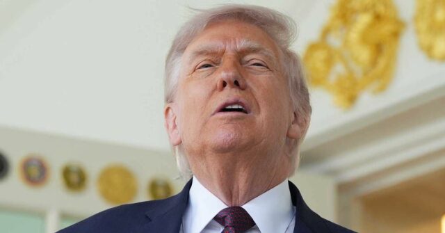 Proposta de equipe de especialistas para decidir se Trump está Jamie Raskin é um democrata proeminente e uma importante figura anti-Trump.