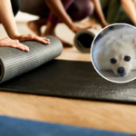 Proprietário deixa o tapete de Pilates de fora, despreparado para o que a Pomerânia fará a seguir