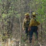 Céus cheios de fumaça tingidos de laranja vistos de um campo.