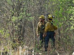 Proteger as equipes de combate a incêndios florestais dos perigos da exposição à fumaça não é tão simples quanto parece Céus cheios de fumaça tingidos de laranja vistos de um campo.