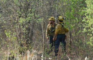 Proteger as equipes de combate a incêndios florestais dos perigos da exposição à fumaça não é tão simples quanto parece Céus cheios de fumaça tingidos de laranja vistos de um campo.