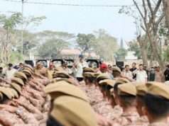 Puluhan Ribu Relawan Lintas Lembaga Bahu-Membahu Pulihkan Sumatera Puluhan Ribu Relawan Lintas Lembaga Bahu-Membahu Pulihkan Sumatera