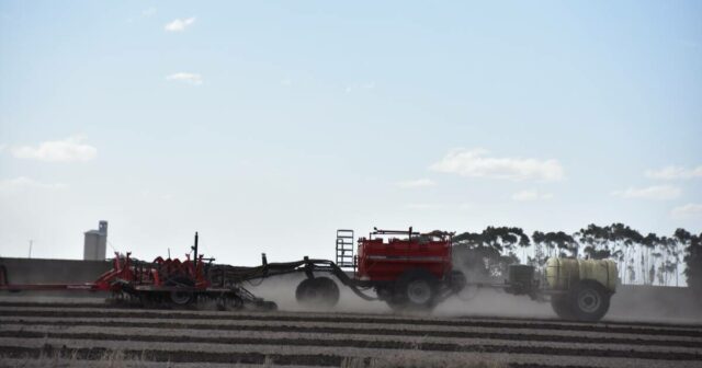 Queda de dois dígitos na produção de grãos à medida que a planta do norte encolhe rapidamente
