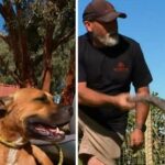 Cody e Finni (esquerda), Rupert e Ben (direita)c