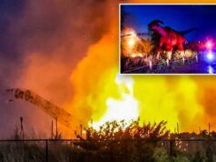 Relâmpago transforma dinossauro de 30 metros em bola de fogo furiosa, impressionando espectadores Relâmpago transforma dinossauro de 30 metros em bola de fogo furiosa, impressionando espectadores