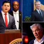 Remoção de fraudes dos federais: apenas o começo