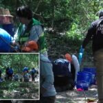 Restos humanos pertencentes a várias crianças entre 3 e 7 anos descobertos na floresta de Memphis