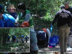 Restos humanos pertencentes a várias crianças entre 3 e 7 anos descobertos na floresta de Memphis Restos humanos pertencentes a várias crianças entre 3 e 7 anos descobertos na floresta de Memphis