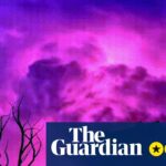 Revisão de Forbidden Solitaire – as cartas se transformam em uma viagem delirante de volta ao terror dos anos 90