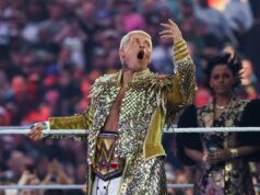 Revisão de sábado da WrestleMania 42: anúncios, celebridades e um final confuso Revisão de sábado da WrestleMania 42: anúncios, celebridades e um final confuso