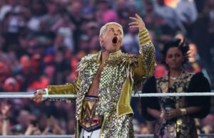 Revisão de sábado da WrestleMania 42: anúncios, celebridades e um final confuso Revisão de sábado da WrestleMania 42: anúncios, celebridades e um final confuso