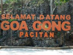 Sengketa Lahan Goa Gong hingga Mau Dijual Rp20 Miliar, Begini Respons Pemkab Pacitan Sengketa Lahan Goa Gong hingga Mau Dijual Rp20 Miliar, Begini Respons Pemkab Pacitan