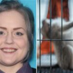 Amanda Leigh Fourez, cidadã norte-americana de Illinois, culpada no início deste mês de distribuição e conspiração para criar e distribuir esse tipo de vídeos.