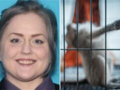 Sicko se declara culpado de pagar por vídeos de tortura sexual envolvendo macacos para grupo online: ‘Pessoa doente’ Amanda Leigh Fourez, cidadã norte-americana de Illinois, culpada no início deste mês de distribuição e conspiração para criar e distribuir esse tipo de vídeos.