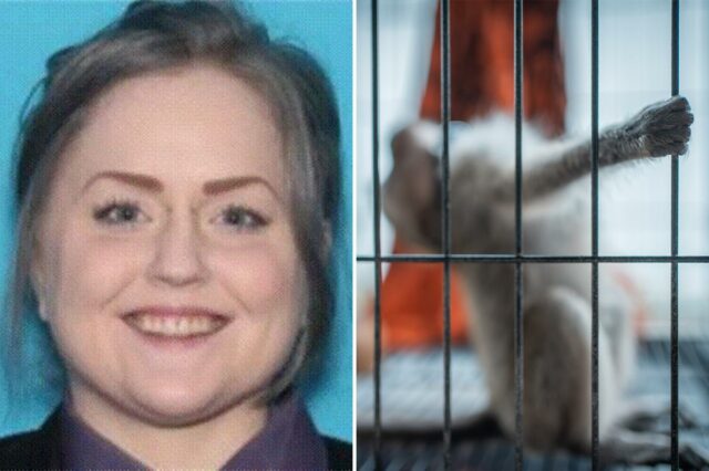 Amanda Leigh Fourez, cidadã norte-americana de Illinois, culpada no início deste mês de distribuição e conspiração para criar e distribuir esse tipo de vídeos.