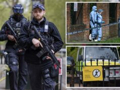 Sinagoga de Londres alvo de suposto ataque criminoso: relatório Sinagoga de Londres alvo de suposto ataque criminoso: relatório