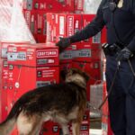 Site de reembolso de tarifas: o que é, como usar