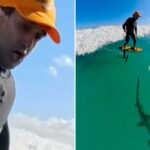 passou direto pelo tubarão enquanto surfava em Honolulu.