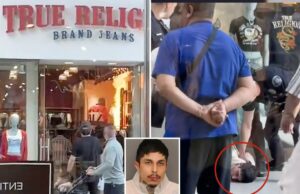 Suspeito de pirotecnia capturado pela câmera provocando incêndios em shoppings de SoCal tentou pegar a arma do policial, dizem os policiais Foto de Luis Javier Gallegos Jr.