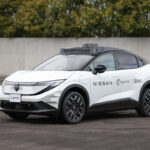 gato piscante pássaro verde