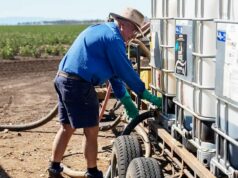 Tempestade perfeita de altos custos e tempo seco ameaça lucros agrícolas Tempestade perfeita de altos custos e tempo seco ameaça lucros agrícolas