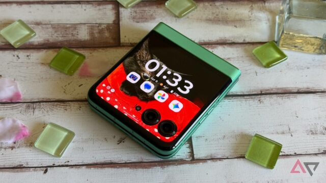 Motorola Razr 2025 em Spring Bud contra um canteiro de flores