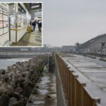 Vapor sai de uma usina de energia protegida por um paredão contra tsunami em Ishinomaki, província de Miyagi, em 27 de abril de 2026.