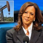 Titãs do petróleo destroem vídeo de Kamala Harris reclamando dos preços da gasolina
