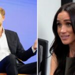 Todas as vezes que Harry e Meghan mencionaram a vida real durante a turnê