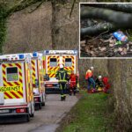 Equipes de resgate estão no local após um acidente em uma área de madeira a sudeste de Flensburg, Alemanha, no domingo, 5 de abril de 2026.