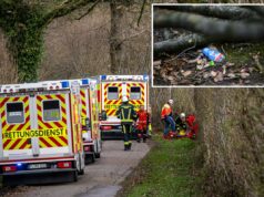 Tragédia de caça aos ovos de Páscoa deixa jovem mãe, seu bebê e adolescente mortos Equipes de resgate estão no local após um acidente em uma área de madeira a sudeste de Flensburg, Alemanha, no domingo, 5 de abril de 2026.