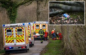 Tragédia de caça aos ovos de Páscoa deixa jovem mãe, seu bebê e adolescente mortos Equipes de resgate estão no local após um acidente em uma área de madeira a sudeste de Flensburg, Alemanha, no domingo, 5 de abril de 2026.