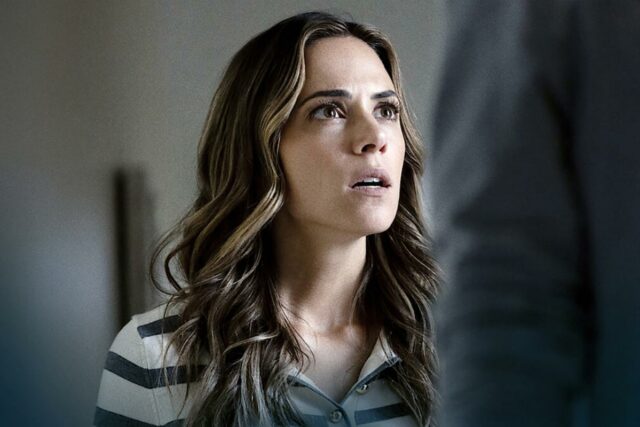 Transmita ou ignore: 'Gaslit by My Husband: The Morgan Metzer Story' no Netflix, um thriller doméstico espalhafatoso e verdadeiro adjacente ao crime
