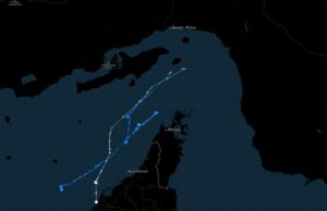 Três petroleiros tentam trânsito em Hormuz após bloqueio de bandeiras dos EUA Três petroleiros tentam trânsito em Hormuz após bloqueio de bandeiras dos EUA