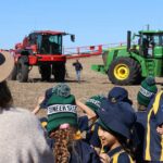 Treze safras geram um milhão de dólares para cidade do Grande Sul