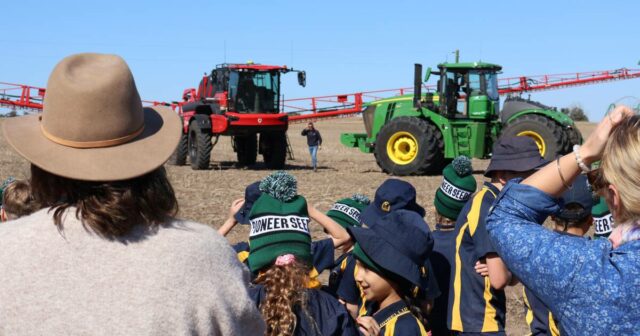 Treze safras geram um milhão de dólares para cidade do Grande Sul
