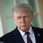 Donald Trump declarou o Estreito de Ormuz 'permanentemente aberto', apesar do bloqueio naval em curso, em meio a preocupações crescentes da China