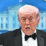 Trump disse em uma entrevista coletiva no sábado à noite que não tinha certeza se ouviu tiros ou uma bandeja de jantar caindo quando um homem armado foi derrubado ao tentar violar o jantar do correspondente da Casa Branca duas horas após seu discurso.