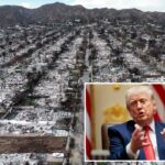 Trump trava guerra contra gigantes dos seguros da Califórnia por causa de pagamentos de incêndios florestais: 'Empresas horríveis'