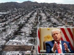 Trump trava guerra contra gigantes dos seguros da Califórnia por causa de pagamentos de incêndios florestais: ‘Empresas horríveis’ Trump trava guerra contra gigantes dos seguros da Califórnia por causa de pagamentos de incêndios florestais: 'Empresas horríveis'