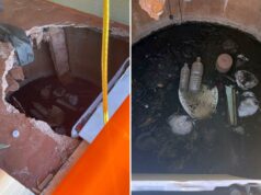 Turista preso até a cintura no esgoto por horas após banheiro desabar durante parada familiar Turista preso até a cintura no esgoto por horas após banheiro desabar durante parada familiar