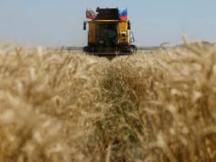 Ucrânia pede a Israel que apreenda navio que diz transportar grãos roubados pela Rússia Yahoo news home